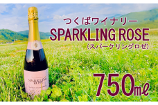 つくばワイナリー SPARKLING ROSE(スパークリングロゼ) 【 お酒 葡萄 ぶどう ブドウ 茨城県産 つくば市産 ワイナリー 】