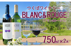 つくばワイナリー TSUKUBA BLANC & ROUGE セット 【 お酒 葡萄 ぶどう ブドウ 茨城県産 つくば市産 ワイナリー 】