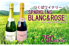 つくばワイナリー SPARKLING BLANC & ROSE セット 【 お酒 葡萄 ぶどう ブドウ 茨城県産 つくば市産 ブラン ロゼ スパークリングワイン ワイナリー 】