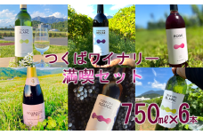 つくばワイナリー 満喫セット 【 お酒 葡萄 ぶどう ブドウ 茨城県産 つくば市産 ワイナリー 】