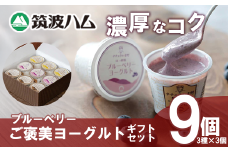 【 筑波ハム 】 ブルーベリー ご褒美ヨーグルト ギフトセット【 筑波ハム ヨーグルト クリームチーズ チーズ ブルーベリー ご褒美 乳 腸活 美容 健康 ギフト 贈答 茨城県産 国産 つくば市 】