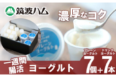 【 筑波ハム 】 一週間腸活ヨーグルト ギフトセット【 筑波ハム ヨーグルト ドリンクヨーグルト 乳 腸活 美容 健康 ギフト 贈答 茨城県産 国産 つくば市 】