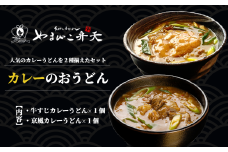 やまびこ弁天の「大人気カレーのおうどん２種セット」 1セット【 うどん カレーうどん 牛すじうどん カレー 牛すじ 京うどん 関西うどん 冷凍 冷凍うどん 茨城県 つくば市 】