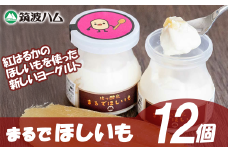 【 筑波ハム 】まるでほしいも × 3個セット4箱【 茨城県 つくば市 ヨーグルト 干し芋 ほしいも ほし芋 紅はるか さつまいも いも 健康 】