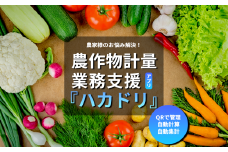 計量業務支援アプリ「ハカドリ」【 アプリ 農業 農業支援 野菜 業務効率化 農作物 農家 生産者 茨城県 つくば市 】