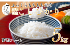 【令和7年産コシヒカリ5kg】 夢田ファームのコシヒカリ 【 米 お米 ライス 白米 精米 こしひかり コシヒカリ 新米 5kg 5キロ 茨城県 つくば市 】