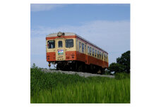 ひたちなか海浜鉄道湊線キハ205貸し切り乗車体験【1213585】