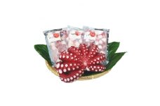 ＜タコ/4種詰合せセット＞蒸し蛸1尾&甘酢蛸200g&梅酢蛸200g&味付たこ200gの4点セット【1212080】