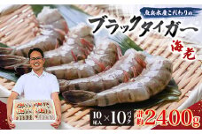 魚兵水産こだわりのブラックタイガー海老　 10尾10パック(計2400g程度)【1215915】