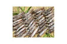 (潮騒の宿　丸徳)　茨城県産　めひかり天日干し　焼魚・唐揚げ　250g×4袋　【1230006】