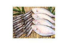 (潮騒の宿　丸徳)　茨城県産　めひかり・カレイ天日干し　焼魚・唐揚げ　250g×各2袋【1230007】