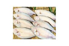 (潮騒の宿　丸徳) 茨城県産 カレイ天日干し　焼魚・唐揚げ　250g×4袋【1230008】