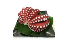 浜清の蒸し蛸1入(約1.5kg)【1207925】