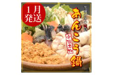 ＜先行予約1月発送＞常陸名物　あんこう鍋セット(3～4人前)【1276059】