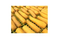 (潮騒の宿 丸徳)茨城県産熟成ほしいも『紅はるか2種セット』丸1・切1　計600g【1290460】