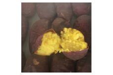＜焼き芋/食べ切りサイズの個包装＞西野さんのやきいも2kg(250g×8袋)皮ごと食べれる焼きイモ_ やきいも さつまいも 焼き芋 焼芋 焼きいも サツマイモ 芋 いも 熟成 しっとり 甘い スイーツ おやつ お菓子 デザート 和スイーツ 国産 野菜 冷凍 茨城 ギフト 自宅用 送料無料 【1371996】