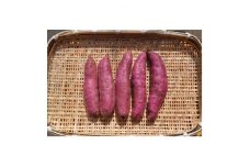 熟成1ヵ月以上でお届け!　紅はるか　サツマイモ　4.75kg　Mサイズ～2Lサイズ混ざり　(土付き)【1421158】