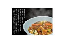 長井おやじのスタミナラーメン冷し(3食+具入り餡1袋入り)【1428027】