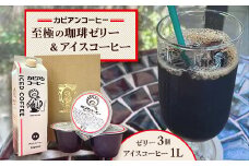 カピアンコーヒー　至極の珈琲ゼリー&アイスコーヒーセット(ゼリー3個&アイスコーヒー1L)_ コーヒー 珈琲 アイスコーヒー 無糖 珈琲ゼリー ゼリー セット カピアンコーヒー 飲料 飲み物 デザート スイーツ 直火焙煎 ギフト プレゼント 送料無料 【1563983】