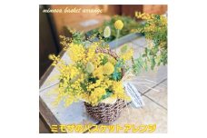 (3月発送)ミモザのバスケットアレンジ＜限定品＞おしゃれなお花をインテリア・壁飾り・プレゼント に!【1581813】