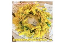 (3月発送)大きな木から作ったミモザのリース＜限定品＞おしゃれなお花をインテリア壁飾りプレゼントに!【1582063】