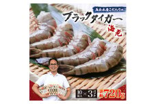 ＜毎月定期便＞魚兵水産こだわりのブラックタイガー海老　 10尾3パック(計720g程度)全6回【4067302】