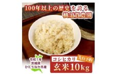 ＜先行予約・9月以降順次発送＞令和7年　ひたちなか市産　コシヒカリ(玄米)10kg×1袋【1641939】