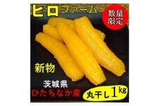 ＜新物＞2月以降発送　ヒロファームの干しいも　丸干し　1kg×1袋　べにはるか　茨城県ひたちなか産【1643863】