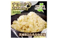 ＜先行予約・9月以降順次発送＞令和7年産　新米チヨニシキ(玄米)10kg×1袋　茨城県ひたちなか市産【1644530】