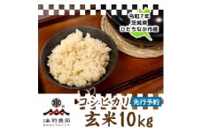 ＜先行予約・9月以降順次発送＞新米　令和7年　ひたちなか市産　コシヒカリ(玄米)10kg×1袋【1650296】