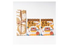 ＜職人が手焼き・地元で人気の阪場のカステラ＞1号&食べきりサイズ2個セット 〈夏季用〉【1651079】