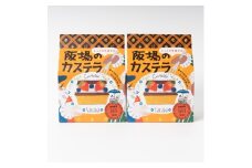 ＜職人が手焼き・地元で人気の阪場のカステラ＞食べきりサイズ2個セット 〈夏季用〉【1651085】