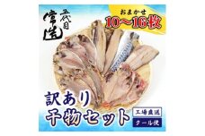 訳あり干物セット 家庭用 約1kg【1662642】