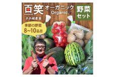 百笑オーガニック野菜セット（8～10品目）（KAG-1）
