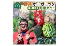 【6ヶ月定期便】百笑オーガニック野菜セット（8～10品目）（KAG-3）