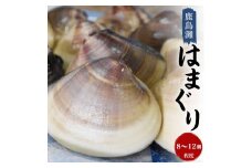 鹿島灘はまぐり【ハマグリ 蛤 海鮮 貝 魚貝 鹿嶋市 茨城県 20000円以内 2万円以内）（KM-2）