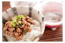 KW-9　自然栽培納豆　納豆の聖地「金砂郷」の職人ひとつひとつ仕込む甘味と旨味の際立つ鹿嶋在来大豆納豆