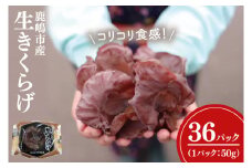 KL-3　コリコリ食感！生きくらげ
