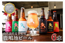 International　Beer　Cup2018　シルバーメダル受賞鹿嶋地ビール　6本セット（自然栽培麦芽使用）（KW-10）