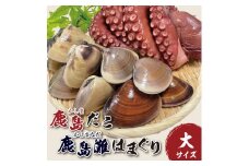 鹿島だこ 鹿島灘はまぐりセット（大）【たこ タコ 蛸 蛤 ハマグリ 海鮮 新鮮 魚貝 地たこ 刺身 鹿島灘 鹿嶋市 茨城県】（KM-11）