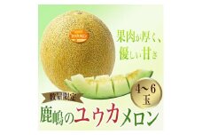 カシマのメロン ユウカメロン 4～6玉（KA-14）
