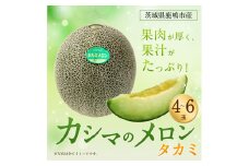 カシマのメロン タカミメロン 4～6玉（KA-13）