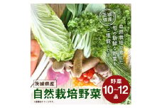 【共通返礼品】自然栽培野菜10～12品目(KBE-111)