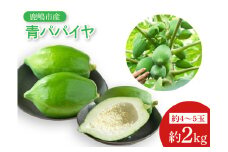 【先行予約】鹿嶋市唯一の青パパイヤ農園！青パパイヤ 約2kg 【野菜 やさい くだもの 果物 鹿嶋市 茨城県 10000円以内 1万円以内】（KBF-4）