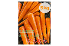 【先行予約】にんじん 5kg 旬の安心野菜【人参 ニンジン 無農薬 有機 栽培 野菜 サラダ 料理 オーガニック 数量 限定 人気 栄養 茨城県 鹿嶋市】 (KAX-15)