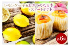 レモンケーキ&おさつのなる木（スイートポテト）（KD-14）