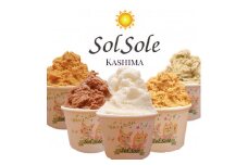 KBM-3　Sol soleのジェラート選べる12個入り お好みセット　無添加　ジェラート スイーツ デザート 鹿嶋市　アイス 送料無料 