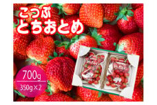 【数量限定】小粒でかわいいとちおとめ 2パック入り1箱 苺　いちご　イチゴ　フルーツ　果物（KBP-3）