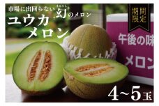 ユウカメロン 4～5玉 【メロン めろん 優香 フルーツ デザート 果物 くだもの 果実 グルメ 産地直送 希少 期間限定 先行予約】 (KBQ-8)
