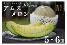アムスメロン 5～6玉 【メロン めろん アムス フルーツ デザート 果物 くだもの 果実 グルメ 産地直送 希少 期間限定 先行予約】 (KBQ-9)